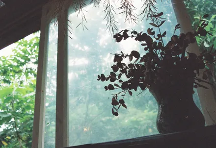 Solar Control Window Film