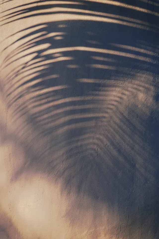 Shutters & Shading
